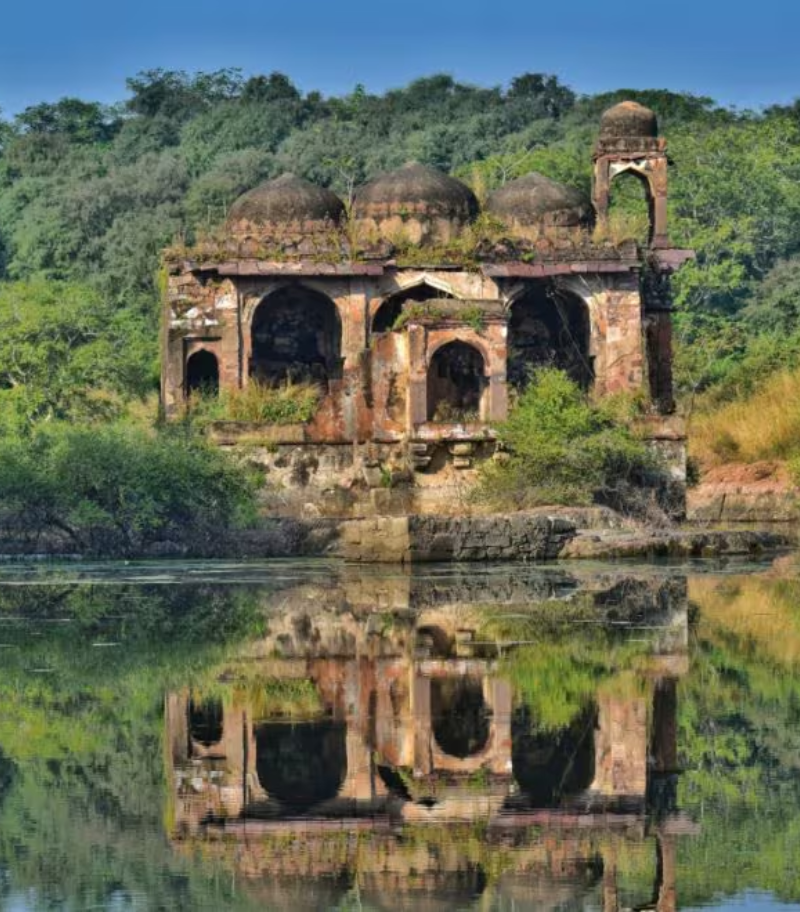 Ranthambore National Park